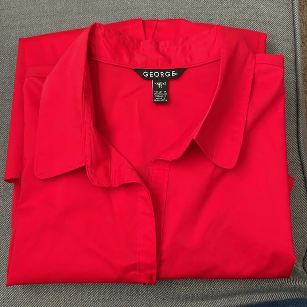 George - Picture 3 of 4